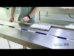 Machine de conditionnement horizontale automatique d'écoulement de cartouche de purification 220v