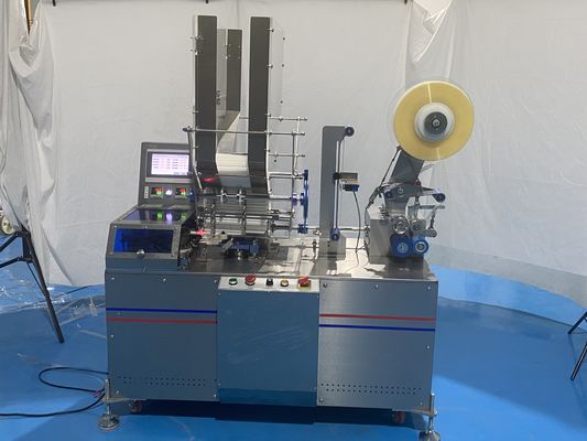 Contrôle 1.5KW Straw Packing Machine Bag Type potable automatique de PLC